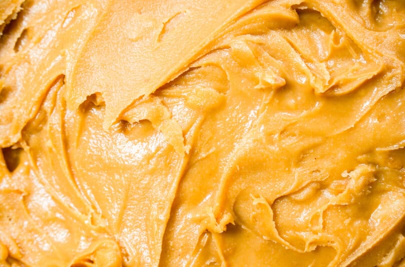 Healthy Wheat Germ Peanut Butter Bars Recipe 