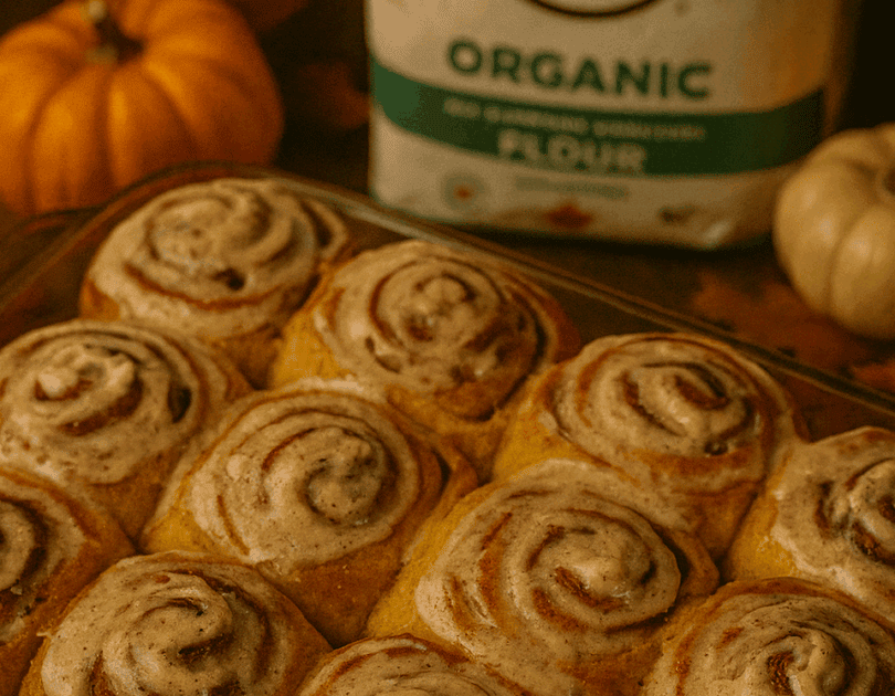 Pumpkin Spice Cinnamon Rolls