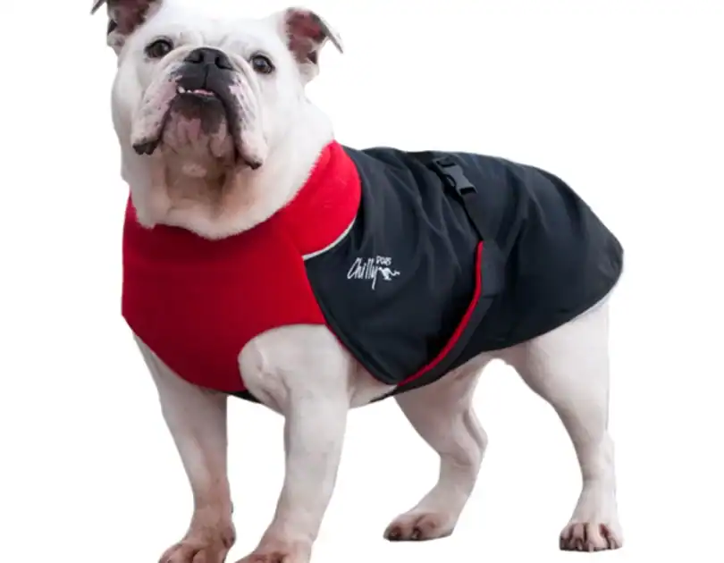 ROGERS FOODS NATIONAL PUPPY DAY GIVEAWAY