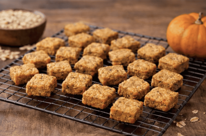 Carrot Pumpkin Oat Square Dog Treats