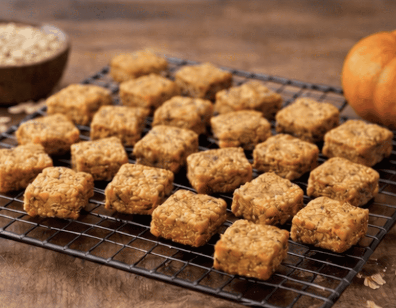 Carrot Pumpkin Oat Square Dog Treats Carrot Pumpkin Oat Square Dog Treats